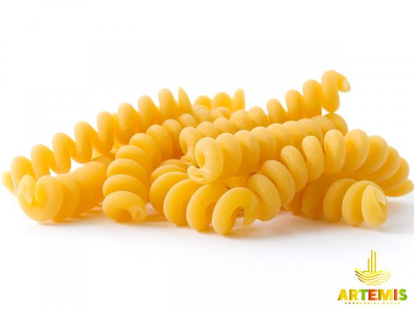 Top Quality Giant Fusilli Pasta to Export