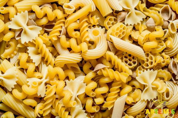 Fresh organic pasta purchase price + user guide