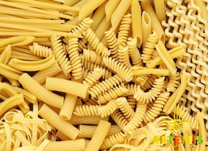 elbow macaroni buying guide with special conditions and exceptional price