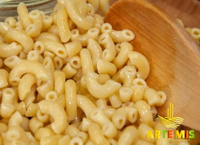 allegra elbow macaroni buying guide with special conditions and exceptional price