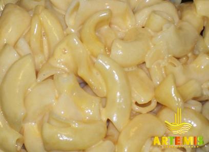 macaroni type noodles buying guide with special conditions and exceptional price