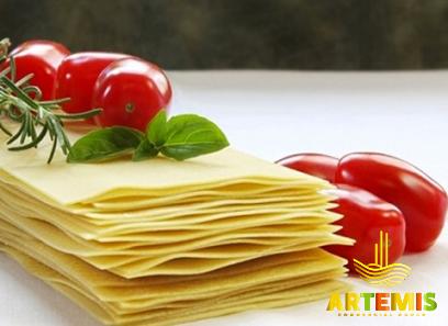 barilla lasagne sheets with complete explanations and familiarization