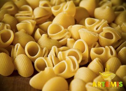 c shaped macaroni acquaintance from zero to one hundred bulk purchase prices